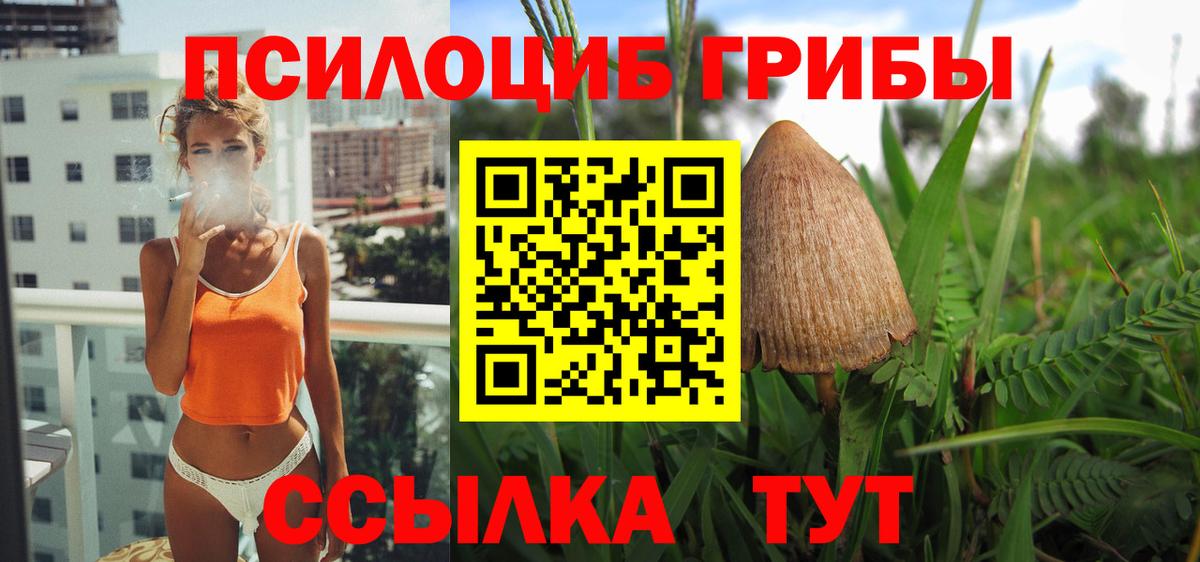 Галлюциногенные грибы прущие грибы  Вход с VPN  Сибай 